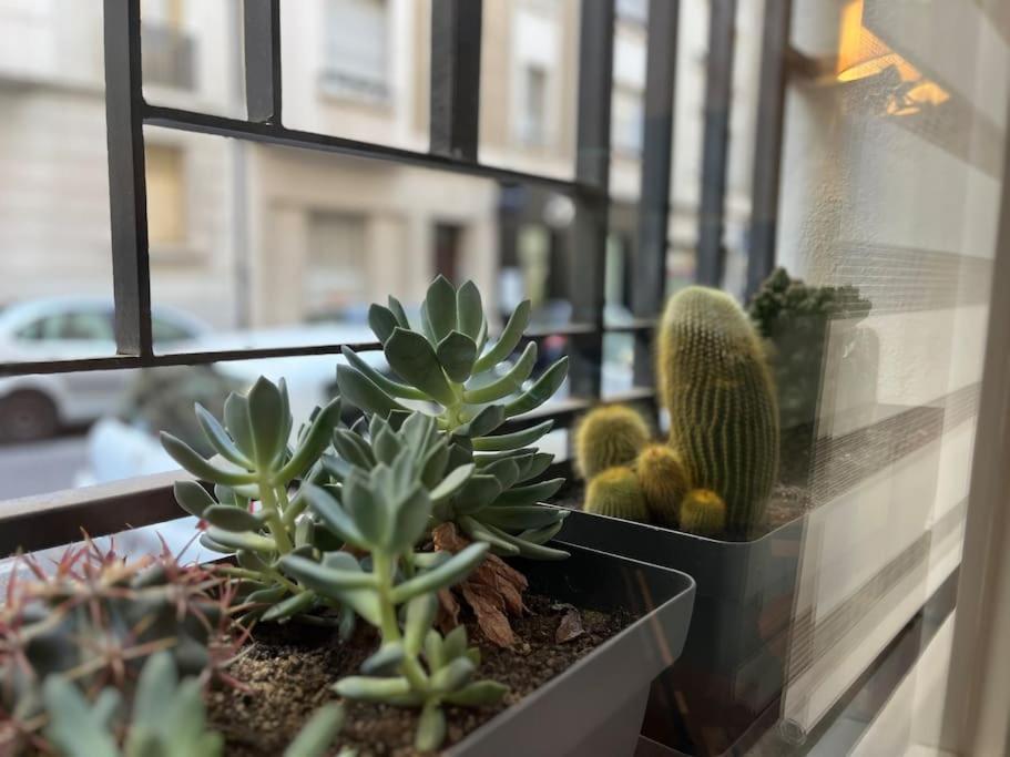 Studio Marseille Exteriér fotografie